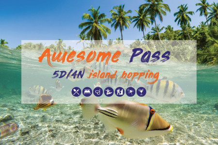 5 day Awesome Pass