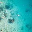 24. Snorkelling Yasawa Islands 24. Snorkelling Yasawa Islands
